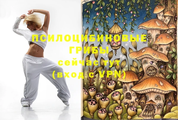 прущий лед Белоозёрский