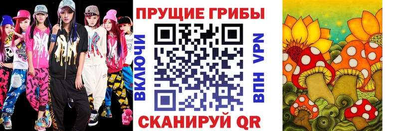 МЕГА вход Малаховка Псилоцибиновые грибы Psilocybe