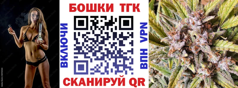 закладки  Малаховка  Каннабис сатива 